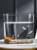 Acrylic Transparent Fish & Flower Arrangement Tank