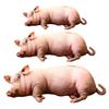 Novelty Pig Velvets Pillow for Sofa and Lounges Space, Soft Animal Cushion with Realistic Shape for Comfort and Decors