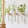 Vase Wall Mounted Planter Home Ornaments Flower Pot Hydroponic Planter Shelf Living Room