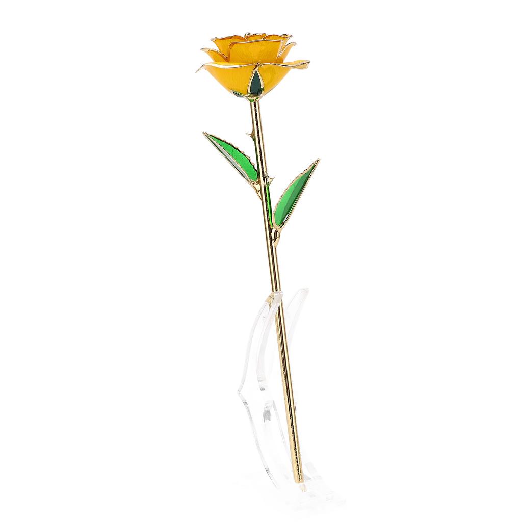 Long Stem 24k Gold Trimmed Rose Flower Gift with Clear Display Stand (Yellow)