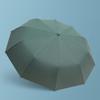 Automatic Windproof UV Protection Umbrella