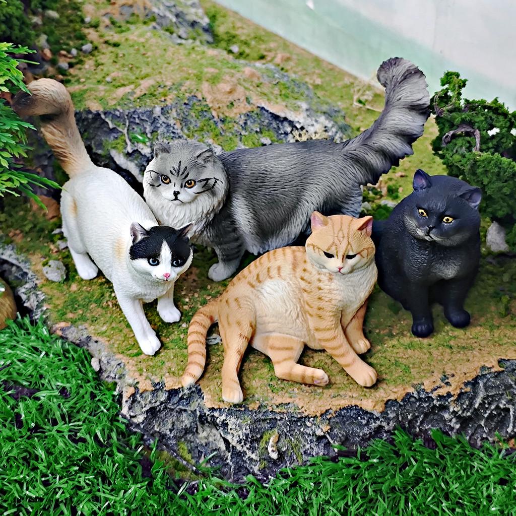 Ragdoll Katze Somali Katze Figur Für Kinder PVC Tier Modell Katze Zum Lernen Spielen