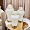 Creative Vase Ceramic General Jar Light Luxury Electroplated Vase White Gold Border Storage and Storage Jar Home Decoration