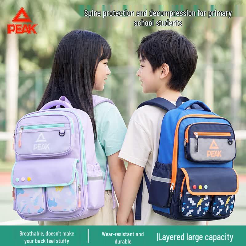 Peak Ergonomic Large Capacity School Backpack for Boys
