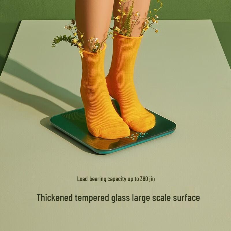 Little Bear Smart Rechargeable Digital Weight Scale (CN Version)