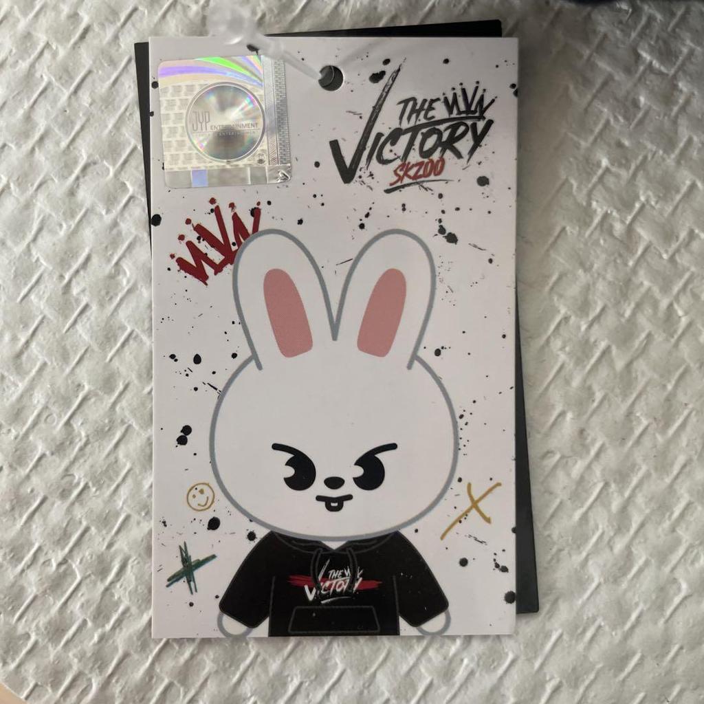 [USED] SKZOO MINI PLUSH leebit