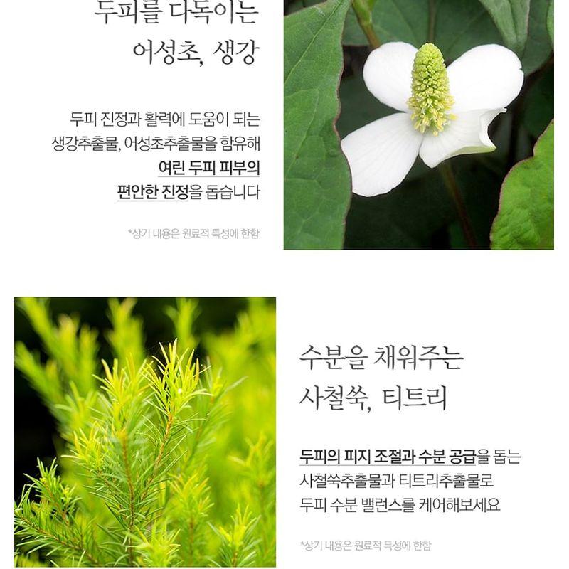 Pyunkang Yul - Low pH Scalp Shampoo