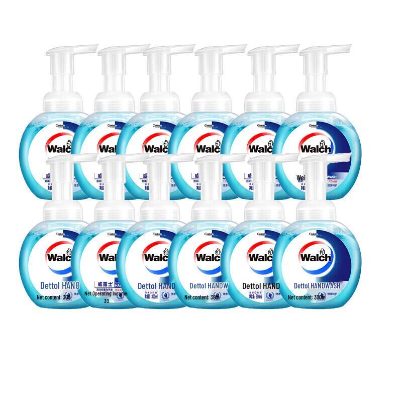 Walch Healthy Care Foaming Hand Soap