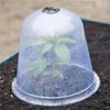 6PCS Reusable Garden Plant Cloche Plastic Dome Protective Seedling Covers for Outdoor Garden