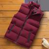 Høst Vinter Herre Vest Bomullsvattert Tykk Ensfarget Ståkrage Glidelås Vindtett Jakke Streetwear