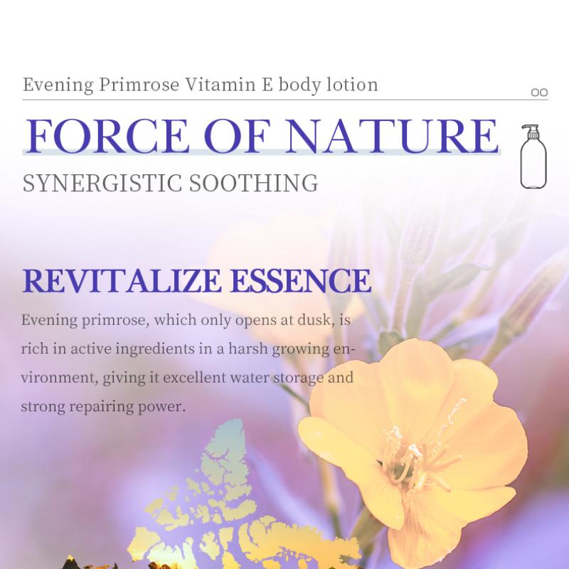 Lotion Corporelle Vitamine E SADOER Onagre Hydrate et hydrate tout le corps