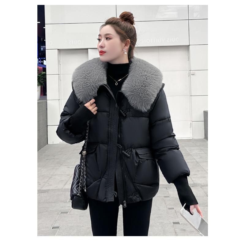 Loose Cotton-padded Clothes, Winter Clothes, New Cotton-padded Clothes, Women's Autumn and Winter Cotton-padded Jackets, Foreign Style Short Jackets.