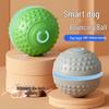 Electric Smart Rolling Ball: Luminous, Bite-Resistant Toy for Dogs & Cats - Automatic Walking, Molar-Bouncing, and Boredom Relief.