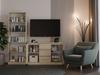 Malwa 2D3S SONOMA Chest of Drawers