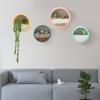 Wall Mounted Plant Hanging Container Easy No Tool Setups Ideal For Green Decoration Vertical Gardening In Compact Area