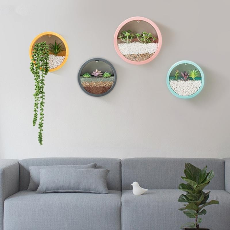Wall Mounted Plant Hanging Container Easy No Tool Setups Ideal For Green Decoration Vertical Gardening In Compact Area