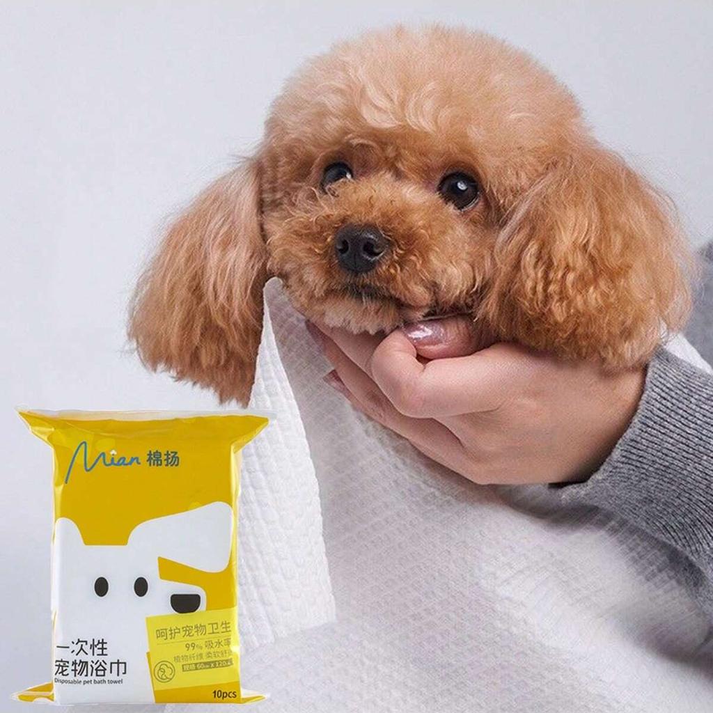 10 Stück - Einweg-Haustiertücher, große dicke spezifische Hunde- und Katzentücher, saugfähige Tücher