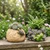 Cute Turtle and Frog Flower Pots Resin Succulent Pot Creative Flower Container  Patio
