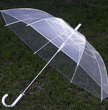 Transparent Umbrella with Wind- Design, Artistic Printed Pattern, Foldable and Long Handle for Rainy Days