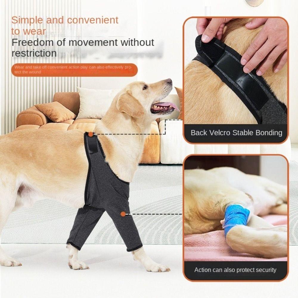 Elastic Dog Elbow Protector Breathable Dog Knee Pads Practical Dog Leg Support Sleeve Pet Supplies