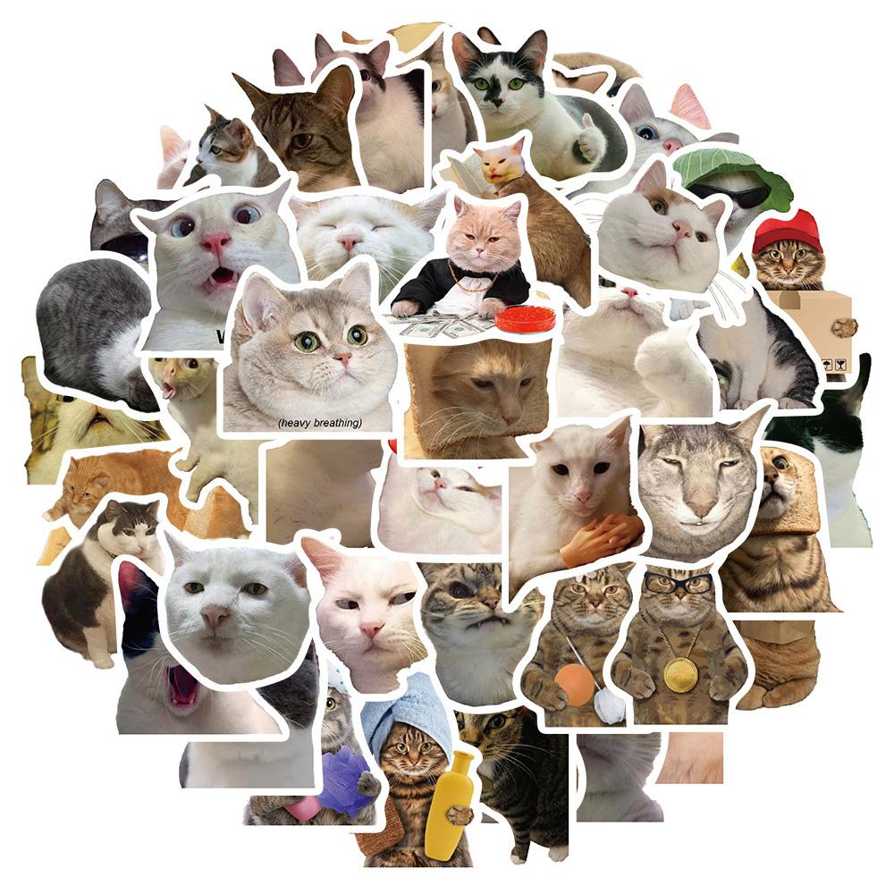 10/30/50pcs Funny MEME Cat Cartoon Graffiti Stickers Cute Animal Decals Kid Toy DIY Suitcase Stationery Phone Waterproof Sticker