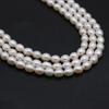 Luxury White Natural Freshwater Rice Shape Pearls 5-5.5mm, 36cm Strand Handmade Wedding Jewelry Accessories DIY Crafts