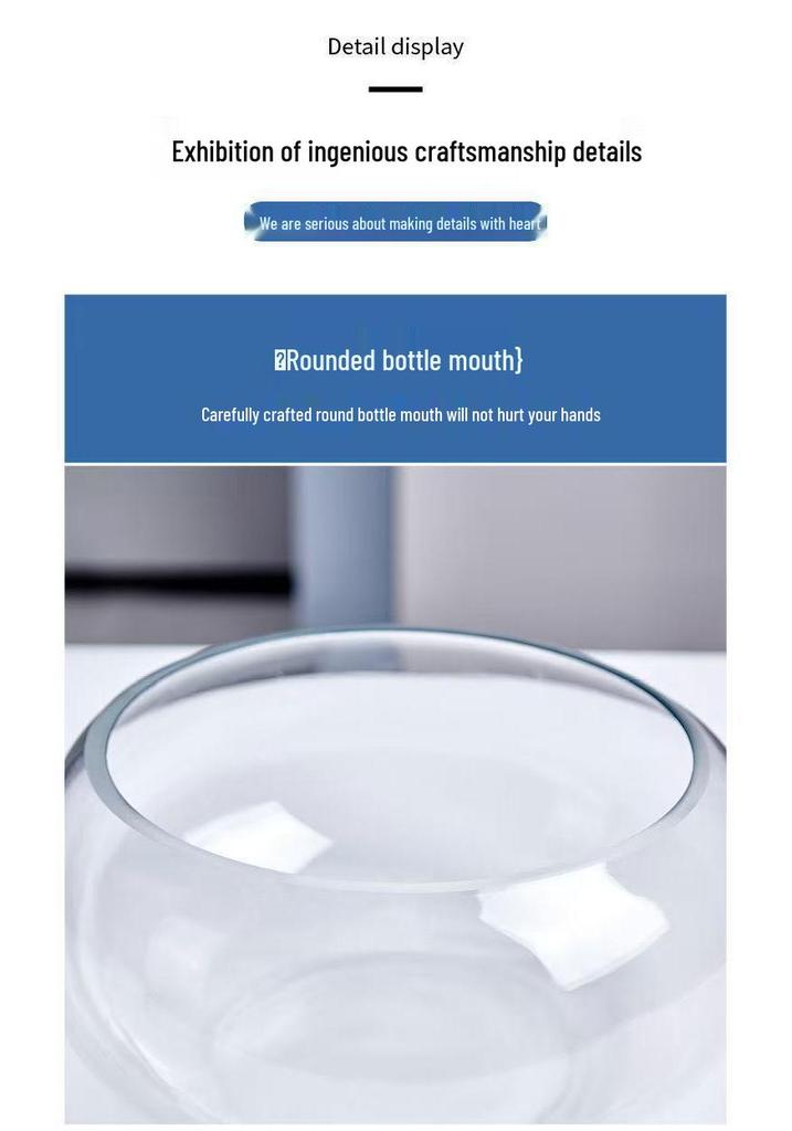 Creative Round Glass Fish Tank for Desktop, Office, or Living Room
