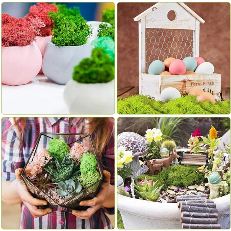 Neue 50/30/10g Künstliche Grüne Pflanzen Ewiges Leben Moos Gras Heim Garten Dekoration Mini Landschaft Künstliche Blume DIY Bastelgeschenke