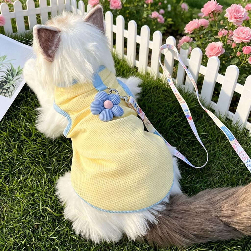 Cat dog clothes spring and summer pet British short blue cat anti-hair loss breathable sun protection tractable teddy bear vest