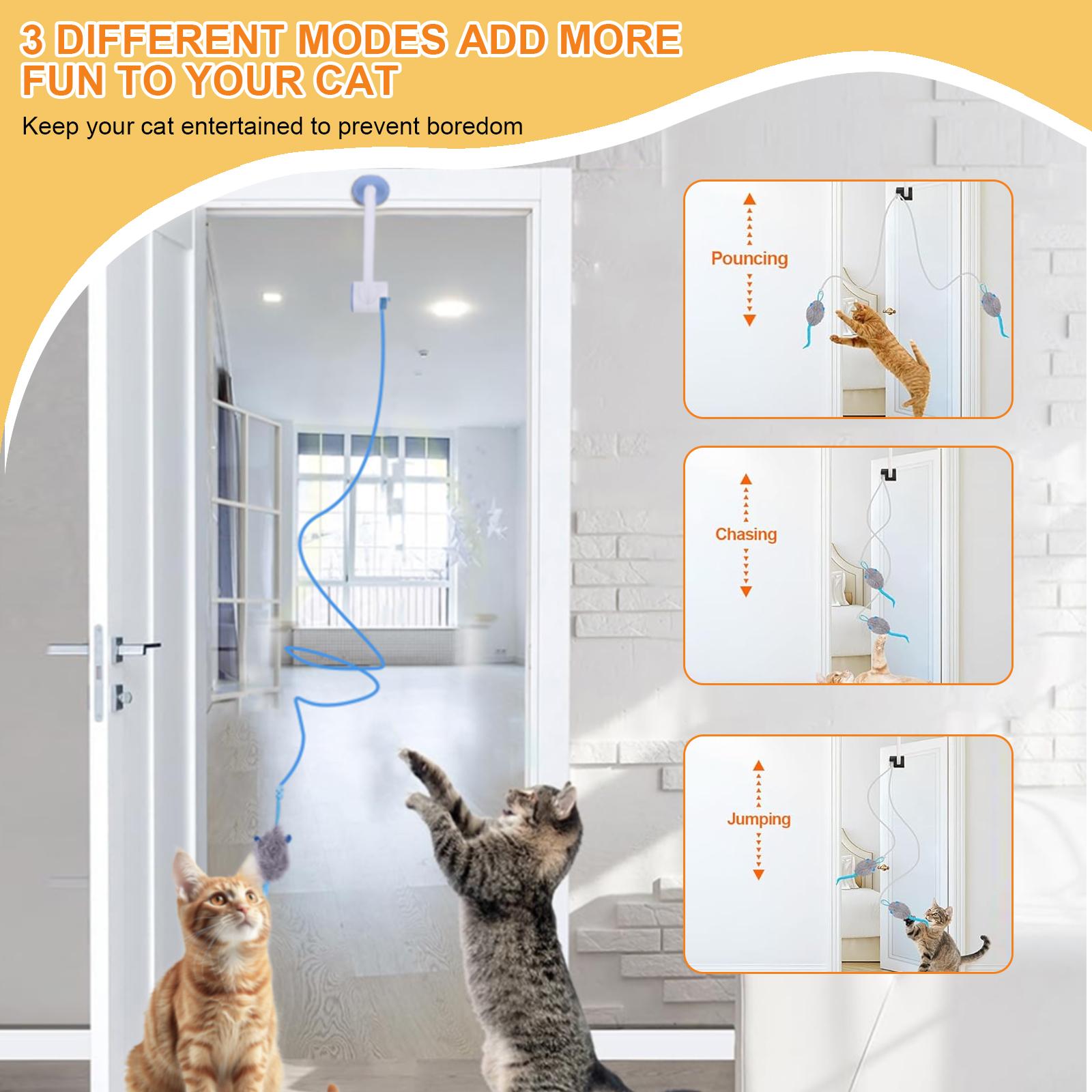 

Door Hanging Automatic Retractable Kitten Toys with 3 Catnip Mice Independent Play Hanging Door Cat Toys for Bored Cats China Mainland