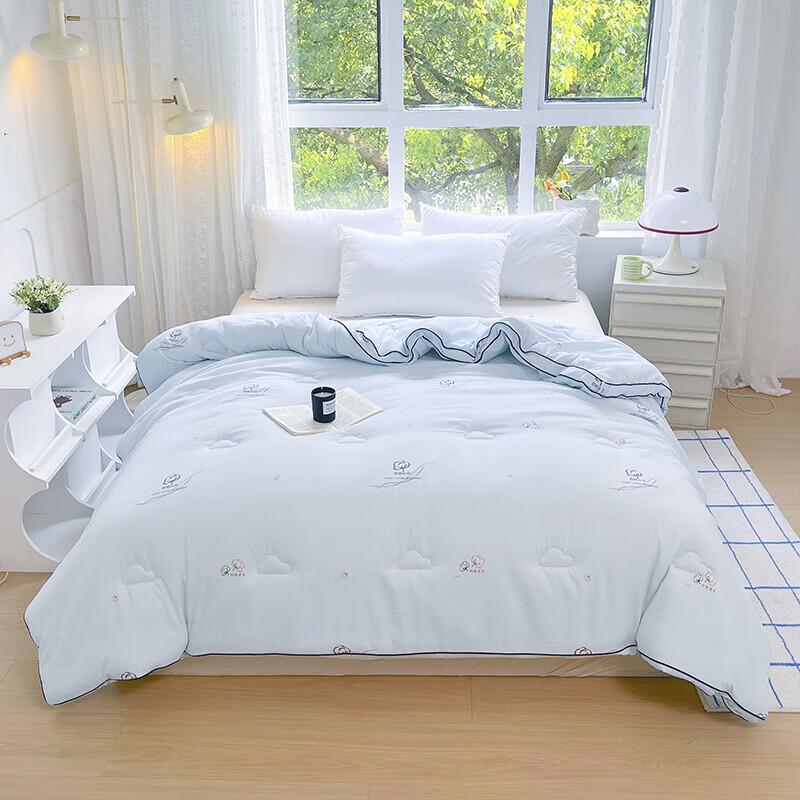 

PAUI DAVID Edelweiss All-Season Fiber Quilt