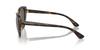 Armani Exchange AX4111SU SHINY HAVANA 54 Sunglasses Women's