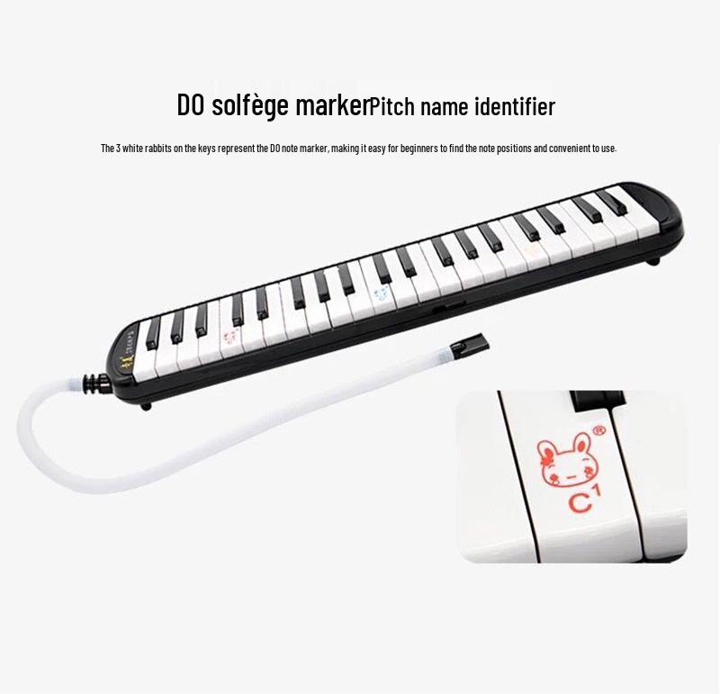 Chimei 41-Key Harmonica: Ideal for Students, Children, and Beginners for Classroom and Professional Performance.