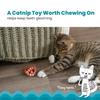Catstages Petstages Dental Pretzel PTPS333