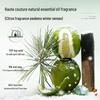 Yinqian Tea Tree Oil Control & Dandruff Shampoo