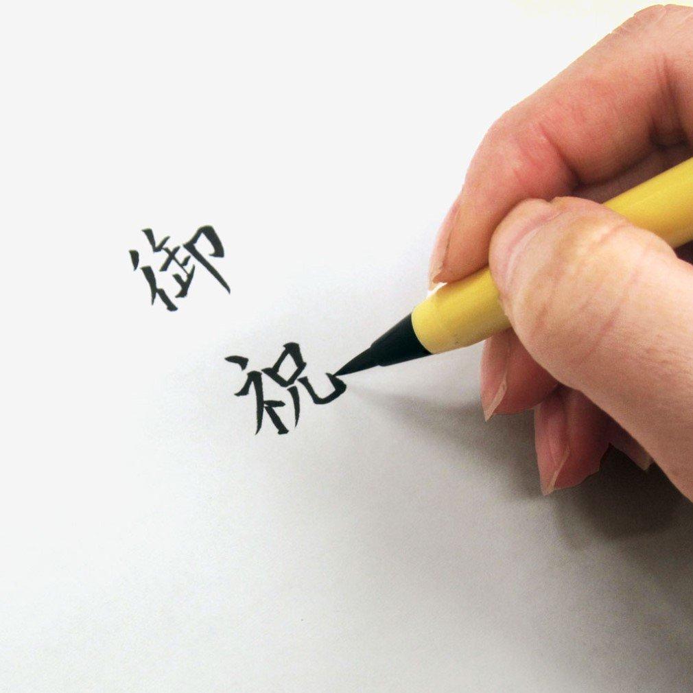 Akashiya Brush New Set of Pen, Brush, Black, 5, SA-300