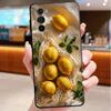 Telefon kapları – Smartphone Bumper Kılıflar
