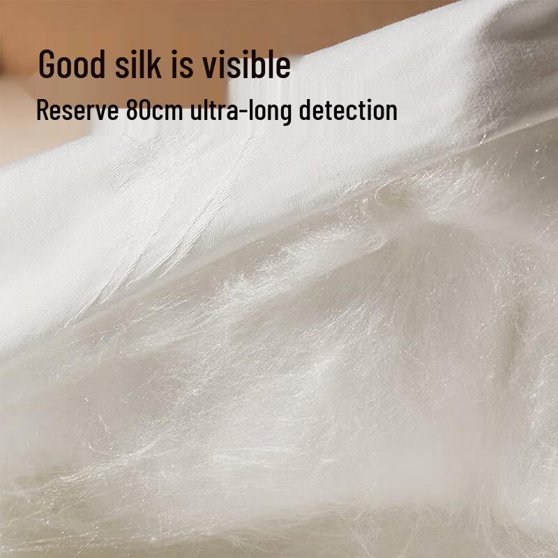 Jingdong Zhizao 100% Mulberry Silk Quilt