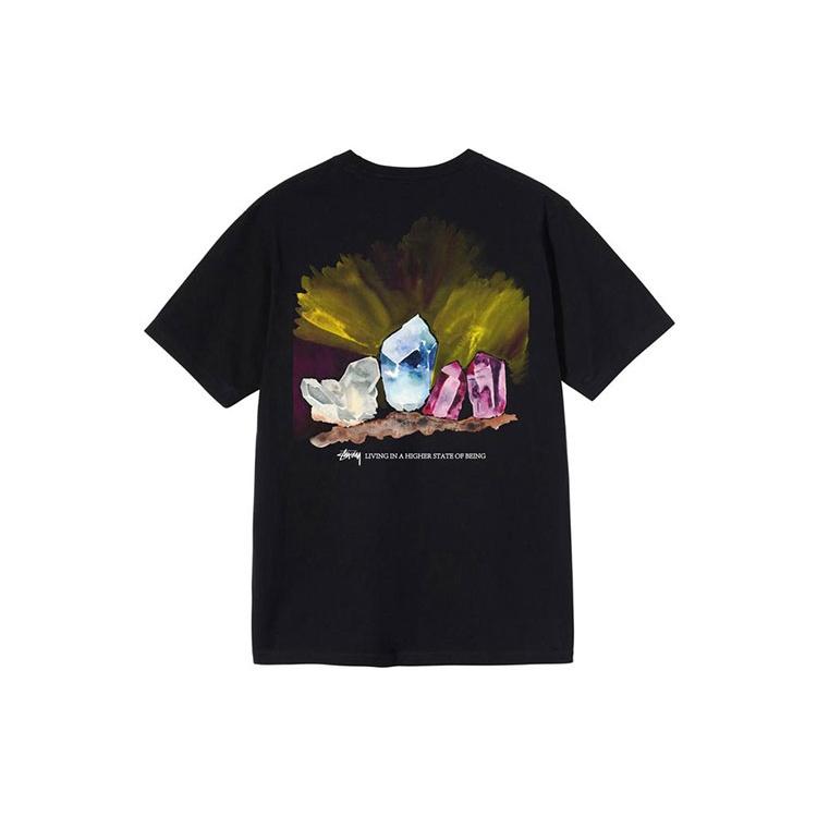 Stussy Higher State Tee Unisex 1904709