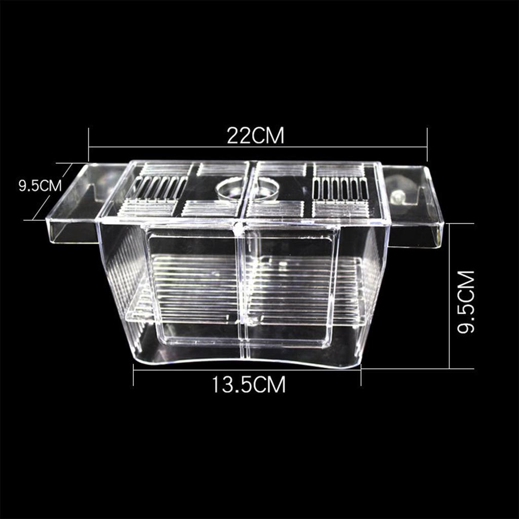 Aquarium Fish Tank Breeder Box Transparent Great Water Flow Box for Baby Fish Clownfish Guppy