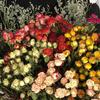 Decoração de casa – Flores e coroas artificiais