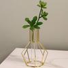 Nordic Simple Glass Clear Vase with Iron Art Frame for Hydroponic Planter Transparent Test Tube Pot Decorative Metal Flower Vase for Table