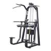 Yimai Commercial Multi-Functional Knee Raise Dip Station