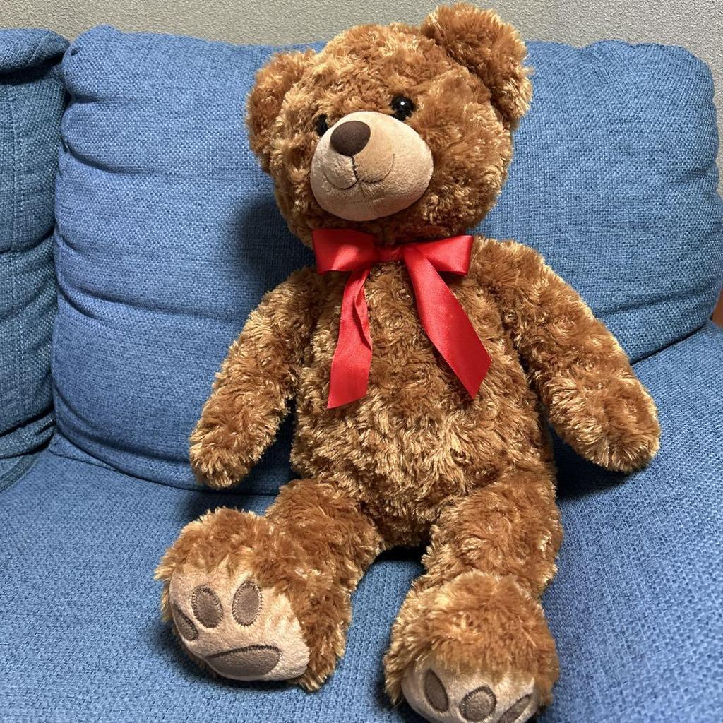 [USED] teddy bear