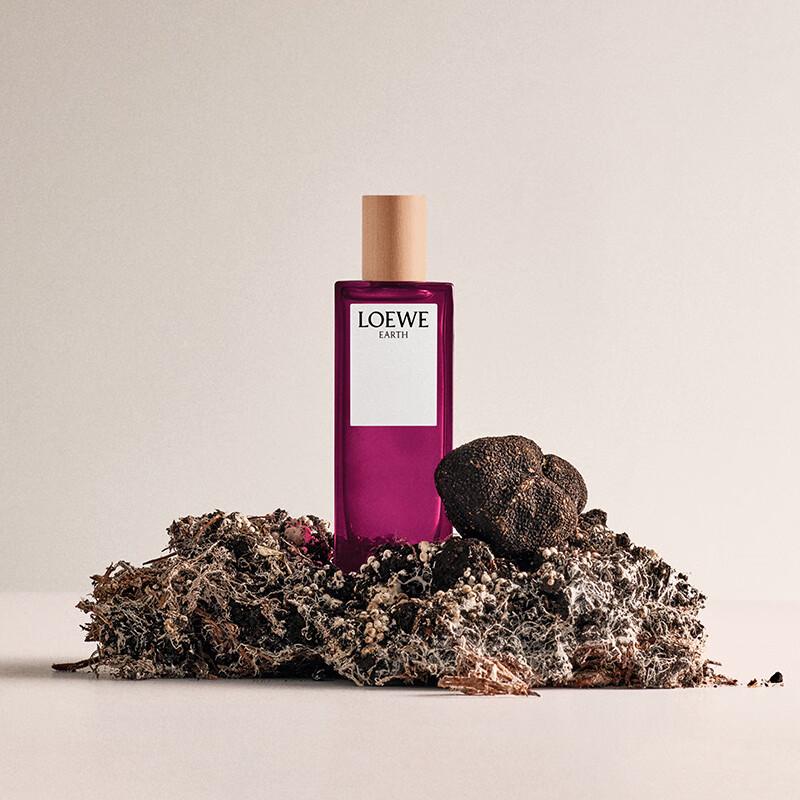 LOEWE Signature Fragrance Collection