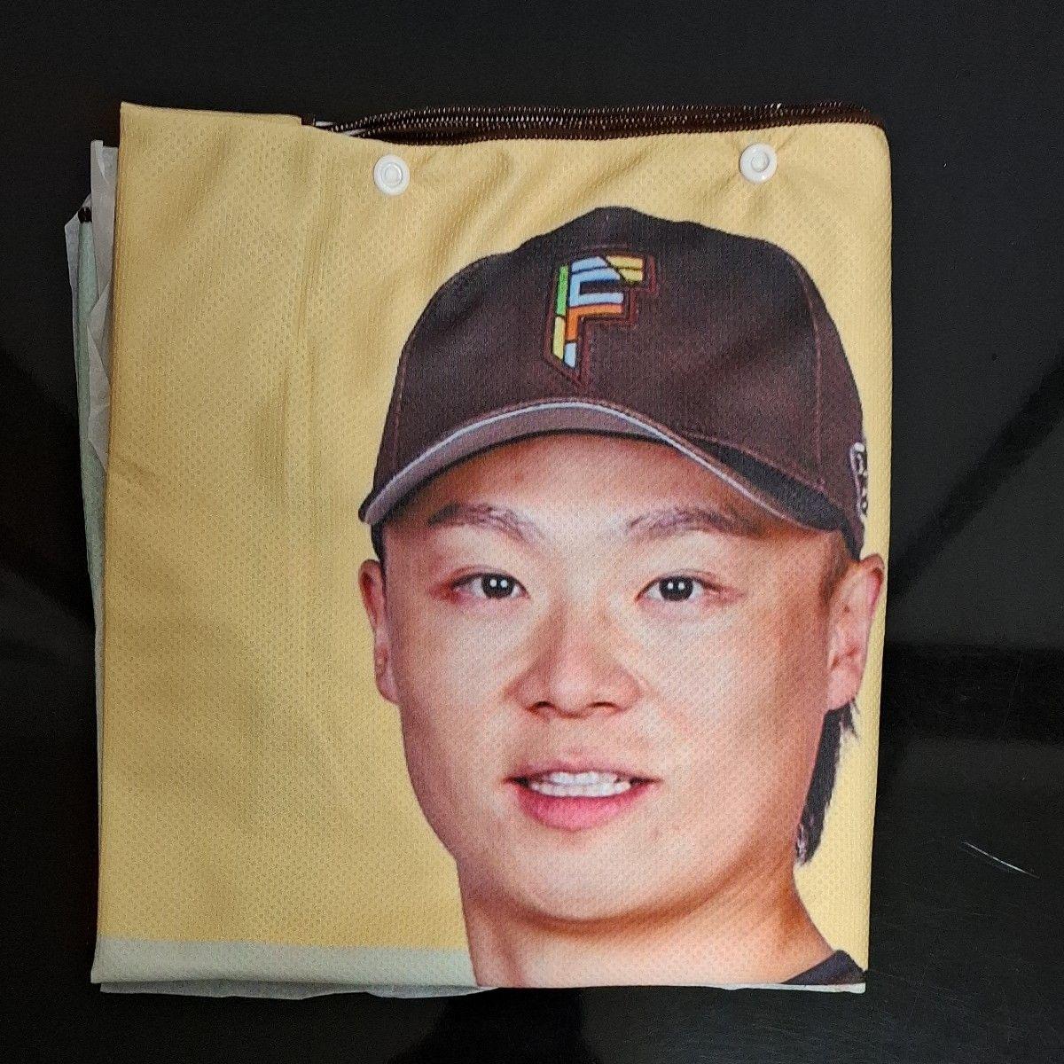 Used Hokkaido Nippon-Ham Fighters Pitcher Fukuya Yamazaki Cool Food Towel Clear File Milkland Fan