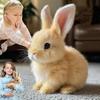 Interactive Rabbit Stuffed Animal, Realistic Jumping Rabbit Toy, Electric Rabbit Toy for Easter Gifts (Brown)