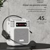 Newmine MS19 Tragbarer kabelloser Sprachverstärker (CN-Version)