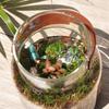 High End Vase Home Decor Storage Ornament Candle Holder Hydroponic Leather Handle Glass Vase