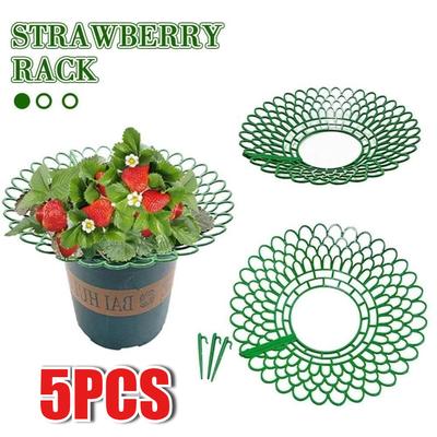 Strawberry Supports Plastic Strawberry Holder Growing Racks Anti-rot Rotten Fruit Plant Stand Tray Garden Plants Accessories